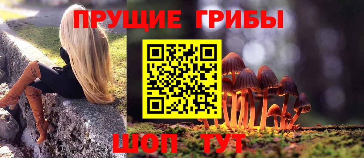 Галлюциногенные грибы прущие грибы Омск